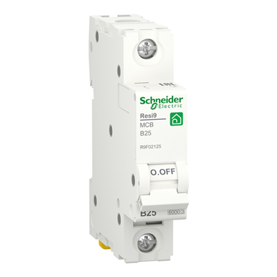 ������ R9F02125 SE RESI9 1� 25� 6�� (���-�� B) Schneider Electric �������������� ����������� �� ���� 940 p � ��������� � ��������